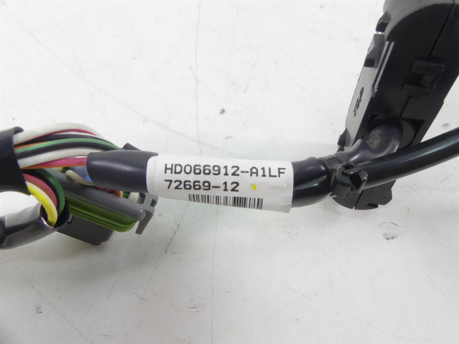 2013 Harley FXDWG Dyna Wide Glide Instrument Indicator Lights & Wiring 72669-12 {{ shop.shopifyCountryName }} - Mototech271