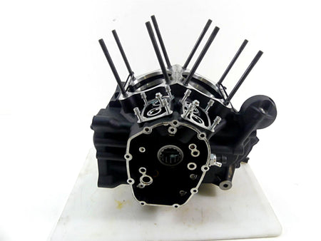 2020 Harley Softail FXST Standard Crankcase Crank Case Engine Housing 24400188 {{ shop.shopifyCountryName }} - Mototech271