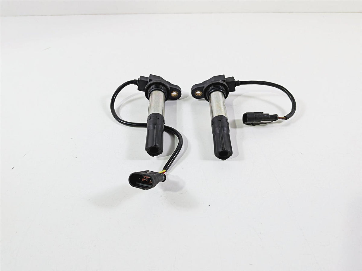 2016 Aprilia RSV 1100 Tuono V4 Factory 2 Eldor Ignition Coils 857084 857501 {{ shop.shopifyCountryName }} - Mototech271