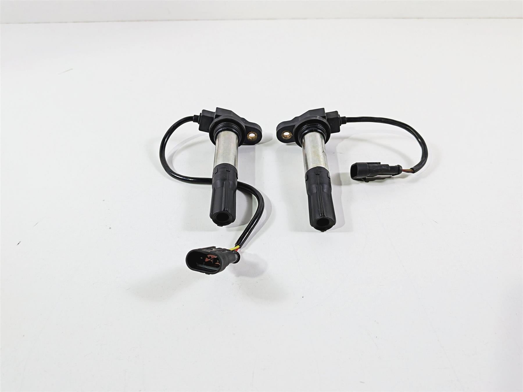 2016 Aprilia RSV 1100 Tuono V4 Factory 2 Eldor Ignition Coils 857084 857501 {{ shop.shopifyCountryName }} - Mototech271