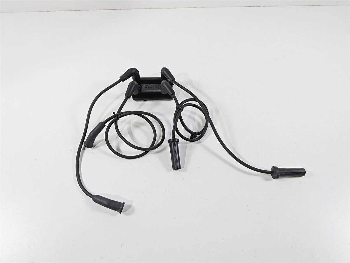 2018 Harley Touring FLHTCU Electra Glide Delphi Ignition Coil & Plugs 31600017-Mototech271