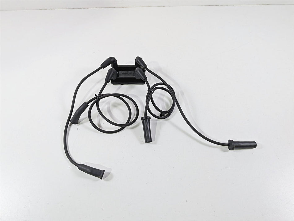 2018 Harley Touring FLHTCU Electra Glide Delphi Ignition Coil & Plugs 31600017-Mototech271