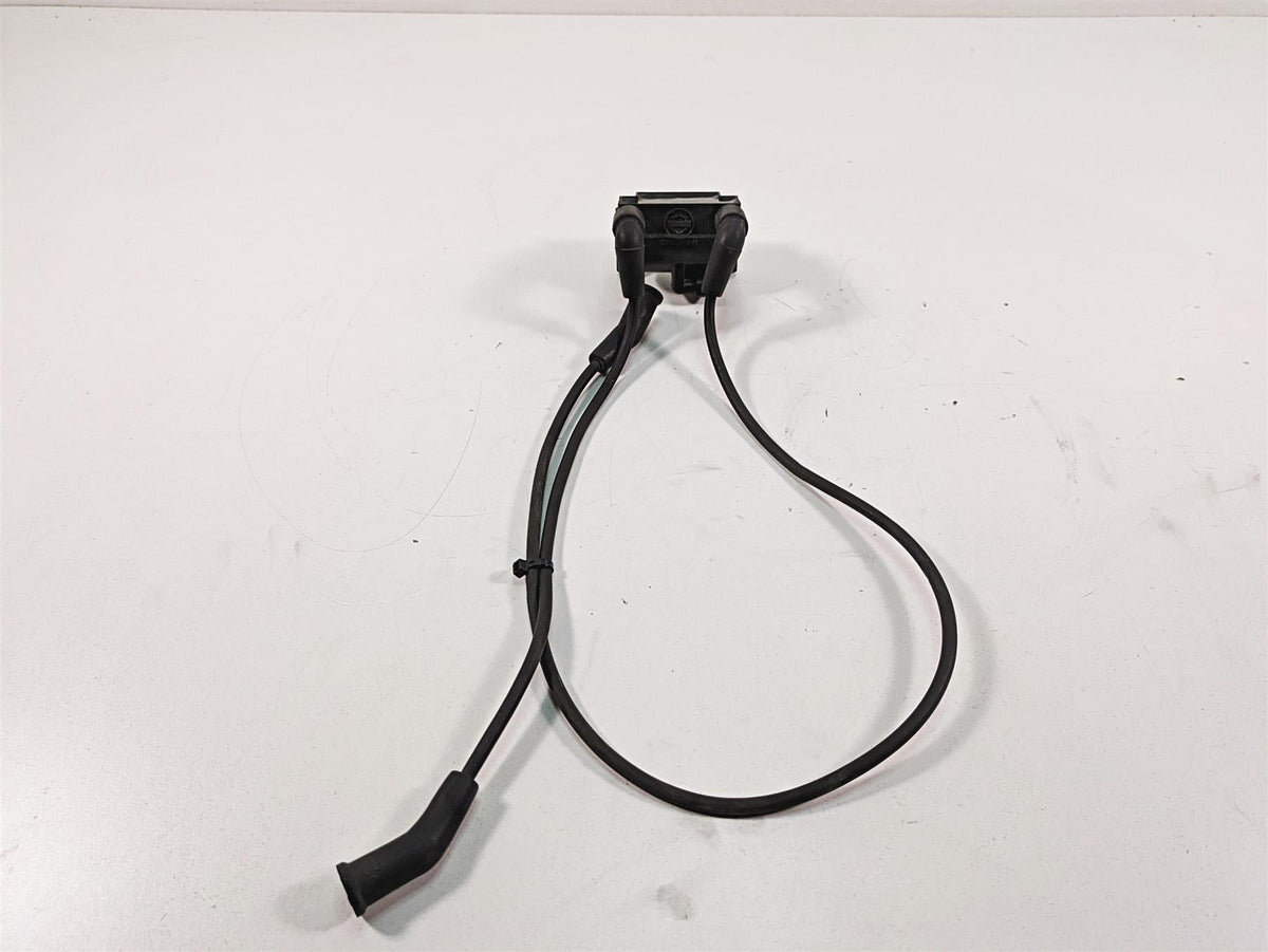 2011 Harley Touring FLTRU Road Glide Delphi Ignition Coil Wires Plugs 31696-07A {{ shop.shopifyCountryName }} - Mototech271