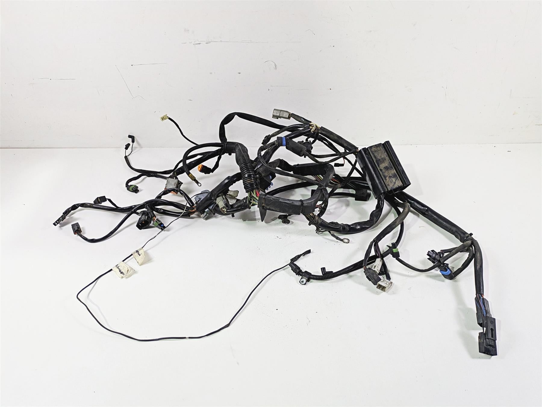 2004 Harley Softail FXSTDI Deuce Wiring Harness Loom EFI - Read 70431-04 {{ shop.shopifyCountryName }} - Mototech271