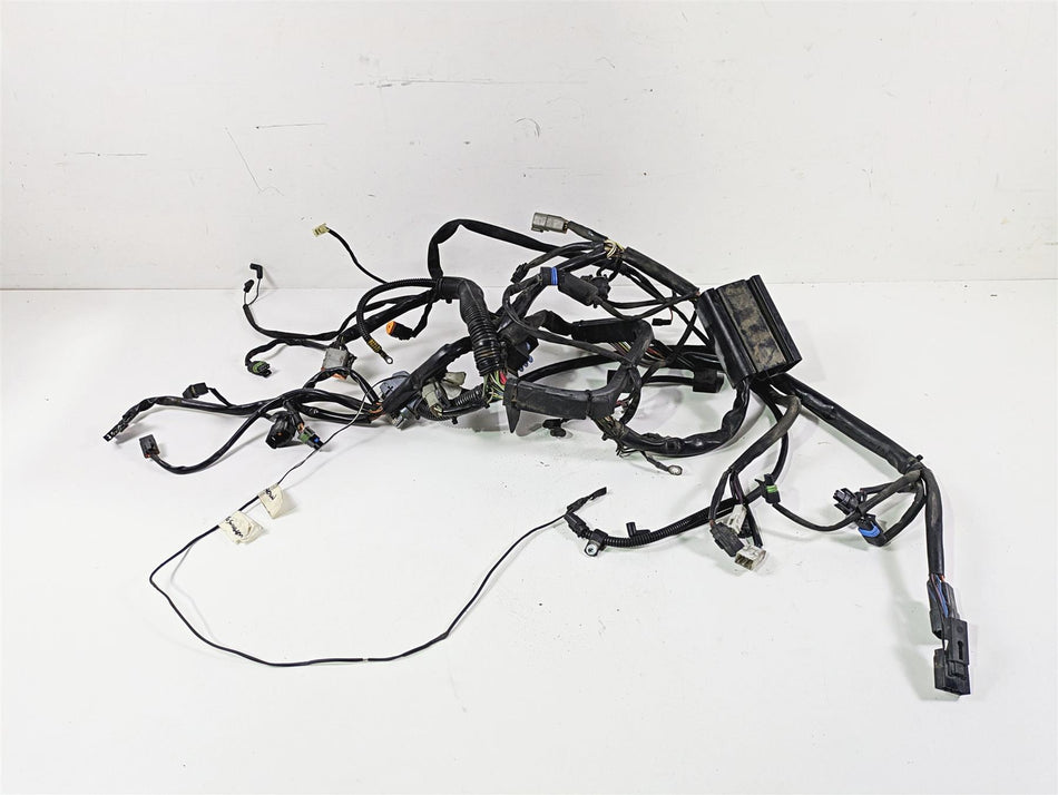 2004 Harley Softail FXSTDI Deuce Wiring Harness Loom EFI - Read 70431-04 {{ shop.shopifyCountryName }} - Mototech271