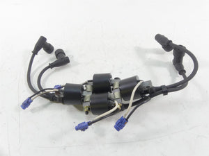 2017 Arctic Mountain Cat M8000 153 Ignition Coil Coils Wire Set 3007-548