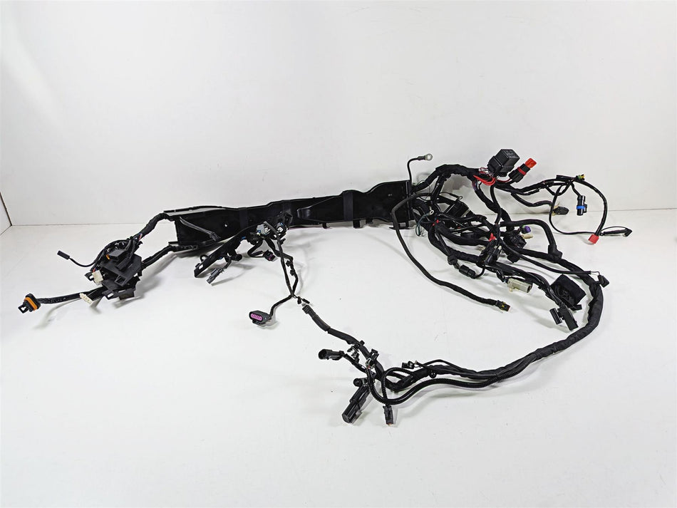 2021 Harley FLHRXS Road King Special Main Wiring Harness Loom - No Cuts 69202225