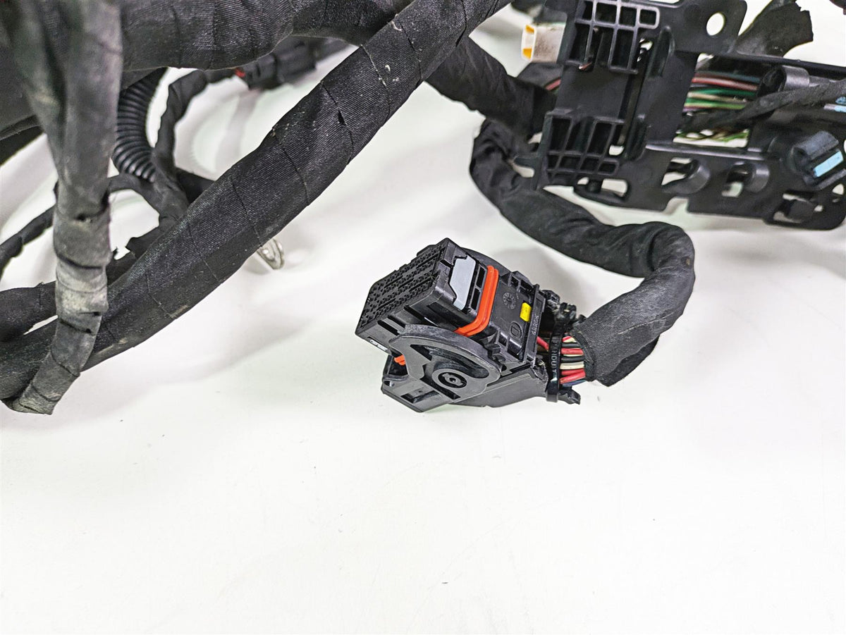 2021 Harley Softail FXST Standard Main Wiring Harness - No Abs - No Cut 69201493 {{ shop.shopifyCountryName }} - Mototech271