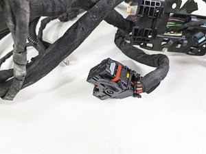 2021 Harley Softail FXST Standard Main Wiring Harness - No Abs - No Cut 69201493