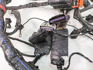 2012 Triumph Tiger 800XC ABS Main Wiring Harness Loom - No Cuts T2508022
