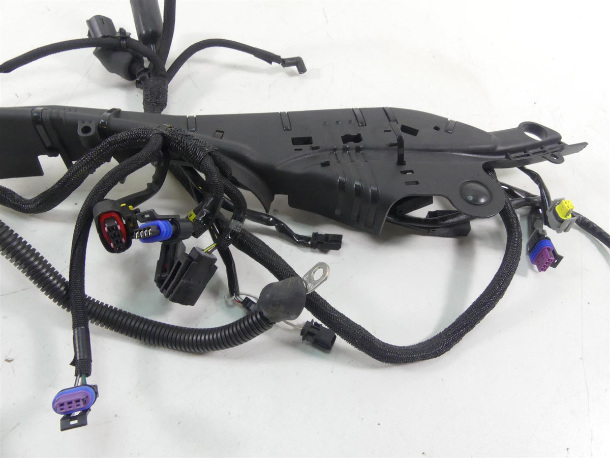 2019 Harley XL883 N Sportster Iron Wiring Harness Loom - No Abs 69200072B {{ shop.shopifyCountryName }} - Mototech271