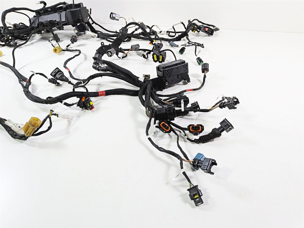 2019 Ducati Panigale V4S V4 S Corse Wiring Harness Loom Set 5101C381G 69929711A {{ shop.shopifyCountryName }} - Mototech271