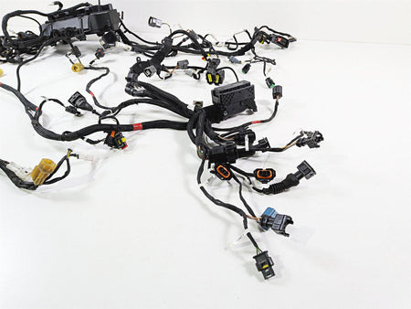 2019 Ducati Panigale V4S V4 S Corse Wiring Harness Loom Set 5101C381G 69929711A {{ shop.shopifyCountryName }} - Mototech271