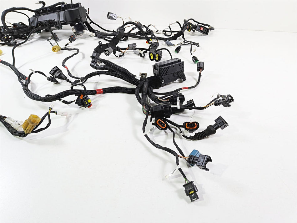 2019 Ducati Panigale V4S V4 S Corse Wiring Harness Loom Set 5101C381G 69929711A {{ shop.shopifyCountryName }} - Mototech271