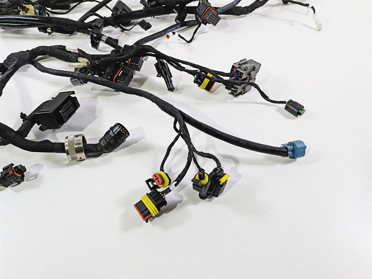 2019 Ducati 959 Panigale Main Wiring Harness Loom - No Cut 5101B071B {{ shop.shopifyCountryName }} - Mototech271