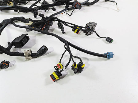 2019 Ducati 959 Panigale Main Wiring Harness Loom - No Cut 5101B071B {{ shop.shopifyCountryName }} - Mototech271