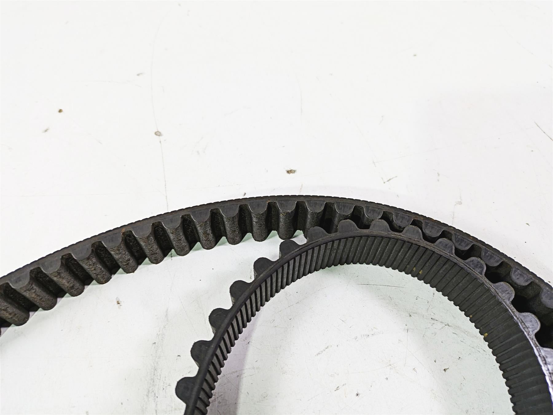 2005 Harley Softail FLSTSCI Heritage Springer Rear Drive Belt 135 T 40307-00B {{ shop.shopifyCountryName }} - Mototech271
