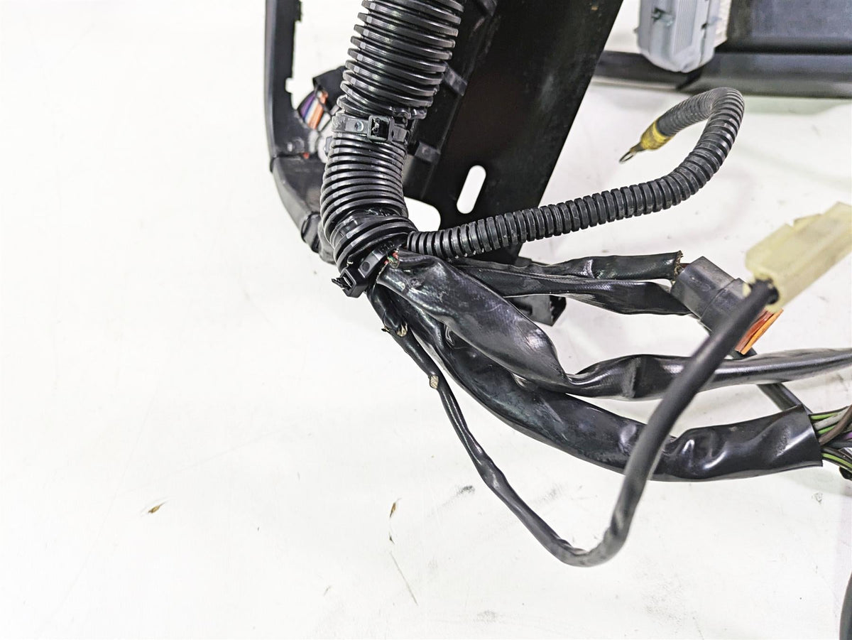 2004 Harley FLSTCI Softail Heritage Wiring Harness Loom EFI 70431-04 {{ shop.shopifyCountryName }} - Mototech271