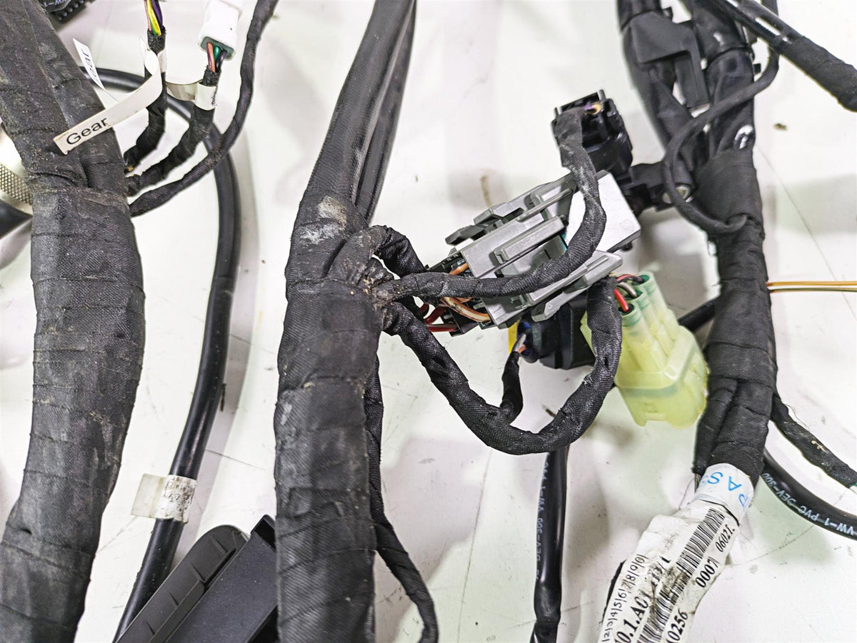 2015 Ducati Panigale 1299 S Wiring Harness Loom READ 5101A011D {{ shop.shopifyCountryName }} - Mototech271