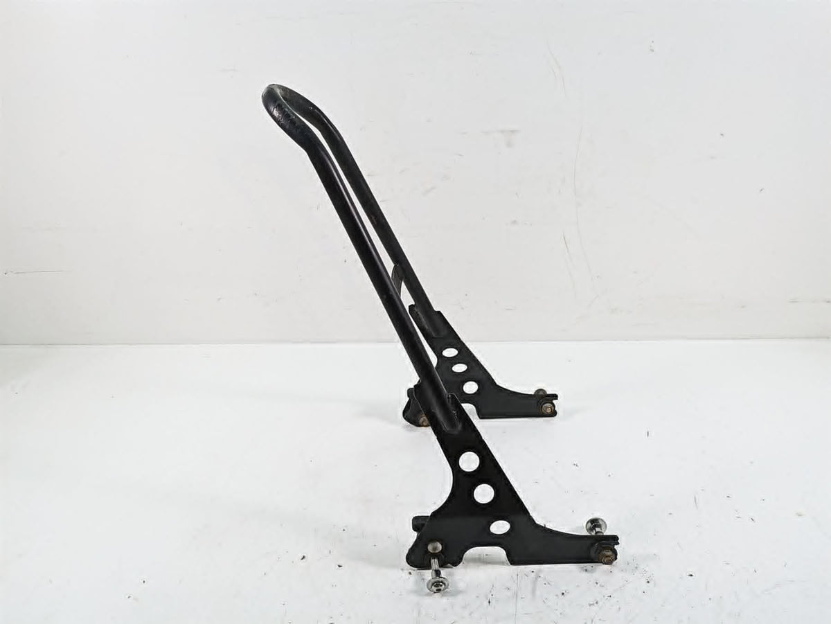 2019 Harley XL883N Sportster Iron 21" Sissy Bar Backrest Back Rest {{ shop.shopifyCountryName }} - Mototech271