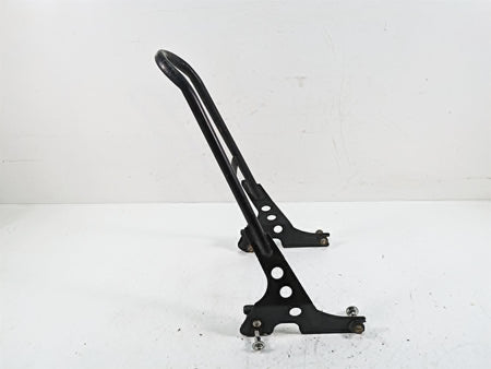 2019 Harley XL883N Sportster Iron 21" Sissy Bar Backrest Back Rest {{ shop.shopifyCountryName }} - Mototech271