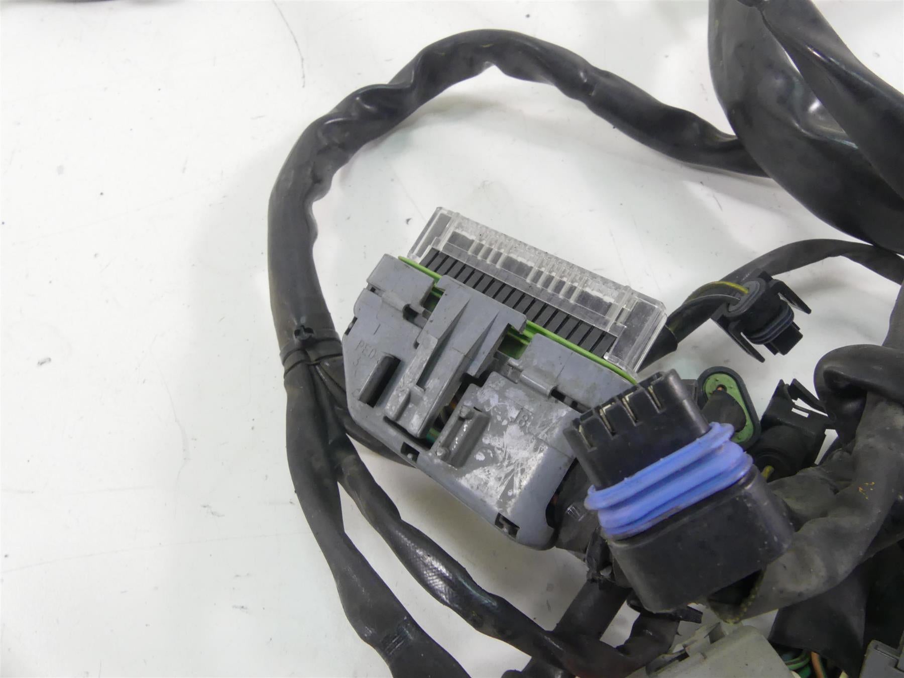 2005 Harley Dyna FXDLI Low Rider Efi Wiring Harness Loom - No Cuts 69602-04 {{ shop.shopifyCountryName }} - Mototech271