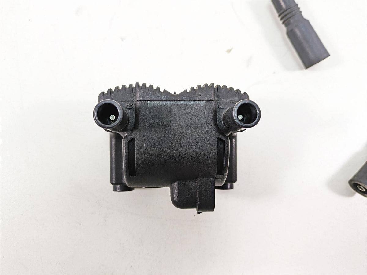 2006 Harley Touring FLHXI Street Glide Delphi Ignition Coil Wires Plugs 31743-01 {{ shop.shopifyCountryName }} - Mototech271