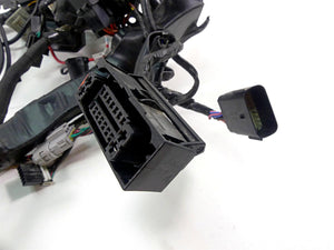 2022 Triumph Speed Triple 1200 RS Wiring Harness Loom -No Cuts T2505123
