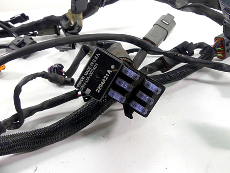 2005 Harley Sportster XL1200 C Main Wiring Harness Loom - Read 70139-05 {{ shop.shopifyCountryName }} - Mototech271