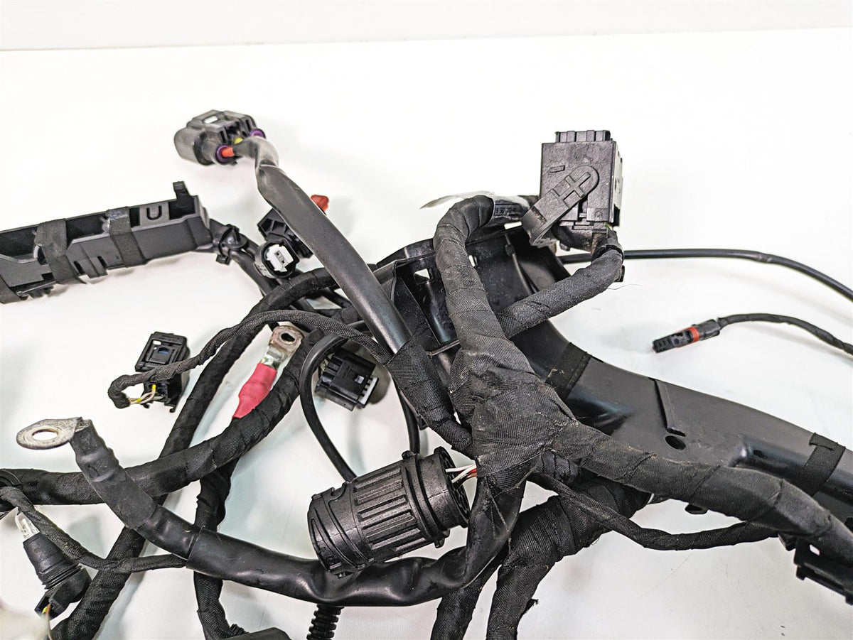 2016 BMW R1200R K53 Main & Engine Wiring Harness Esa Abs Heat Set 61118554353 {{ shop.shopifyCountryName }} - Mototech271