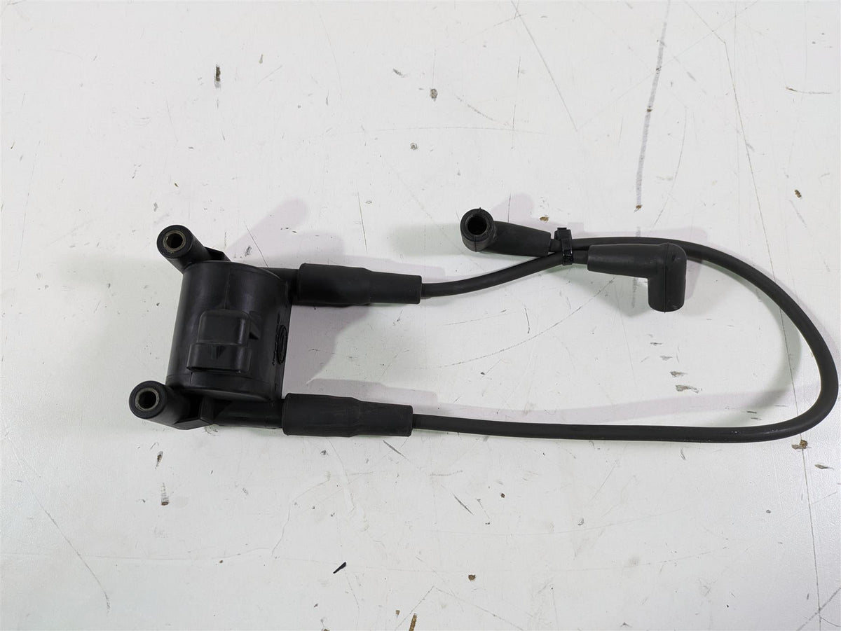 2015 Harley FXDL Dyna Low Rider Delphi Ignition Coil Wires Plugs 31696-07A {{ shop.shopifyCountryName }} - Mototech271
