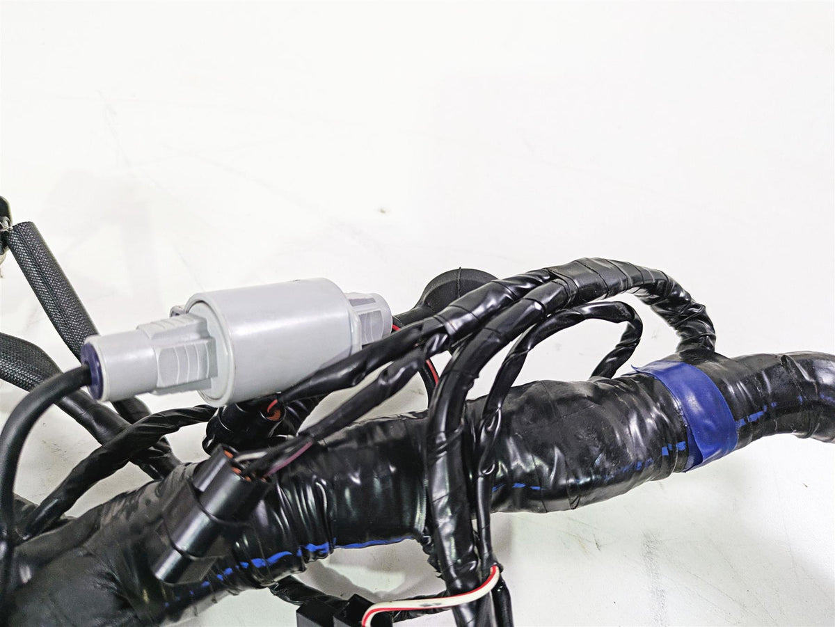 2013 Triumph Tiger 1215 Explorer Wiring Harness Loom - No Cuts T2501095 {{ shop.shopifyCountryName }} - Mototech271