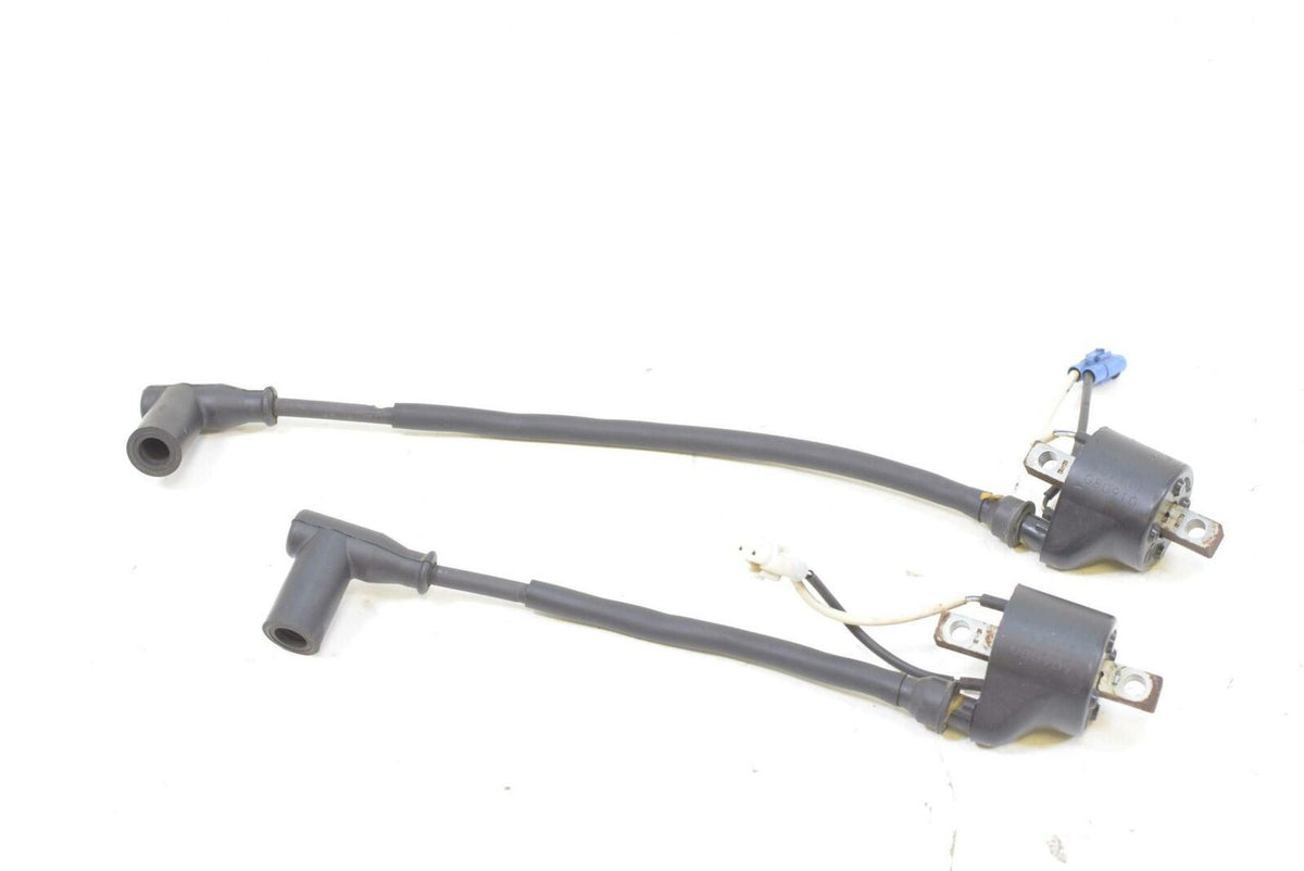 2009 Polaris RMK 600 S09PM6KS Ignition Coil Set 4012168 4012169 {{ shop.shopifyCountryName }} - Mototech271