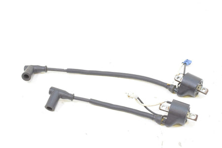 2009 Polaris RMK 600 S09PM6KS Ignition Coil Set 4012168 4012169 {{ shop.shopifyCountryName }} - Mototech271