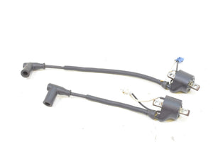 2009 Polaris RMK 600 S09PM6KS Ignition Coil Set 4012168 4012169 | Mototech271