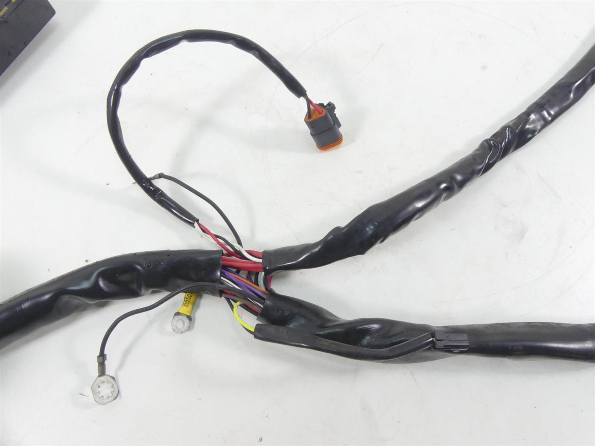 2001 Harley Touring FLHRCI Road King Main Wiring Harness EFI - No Cuts 70245-01 {{ shop.shopifyCountryName }} - Mototech271