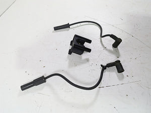 2004 Victory Kingpin Visteon Ignition Coil Wire Set 4010530 2410266