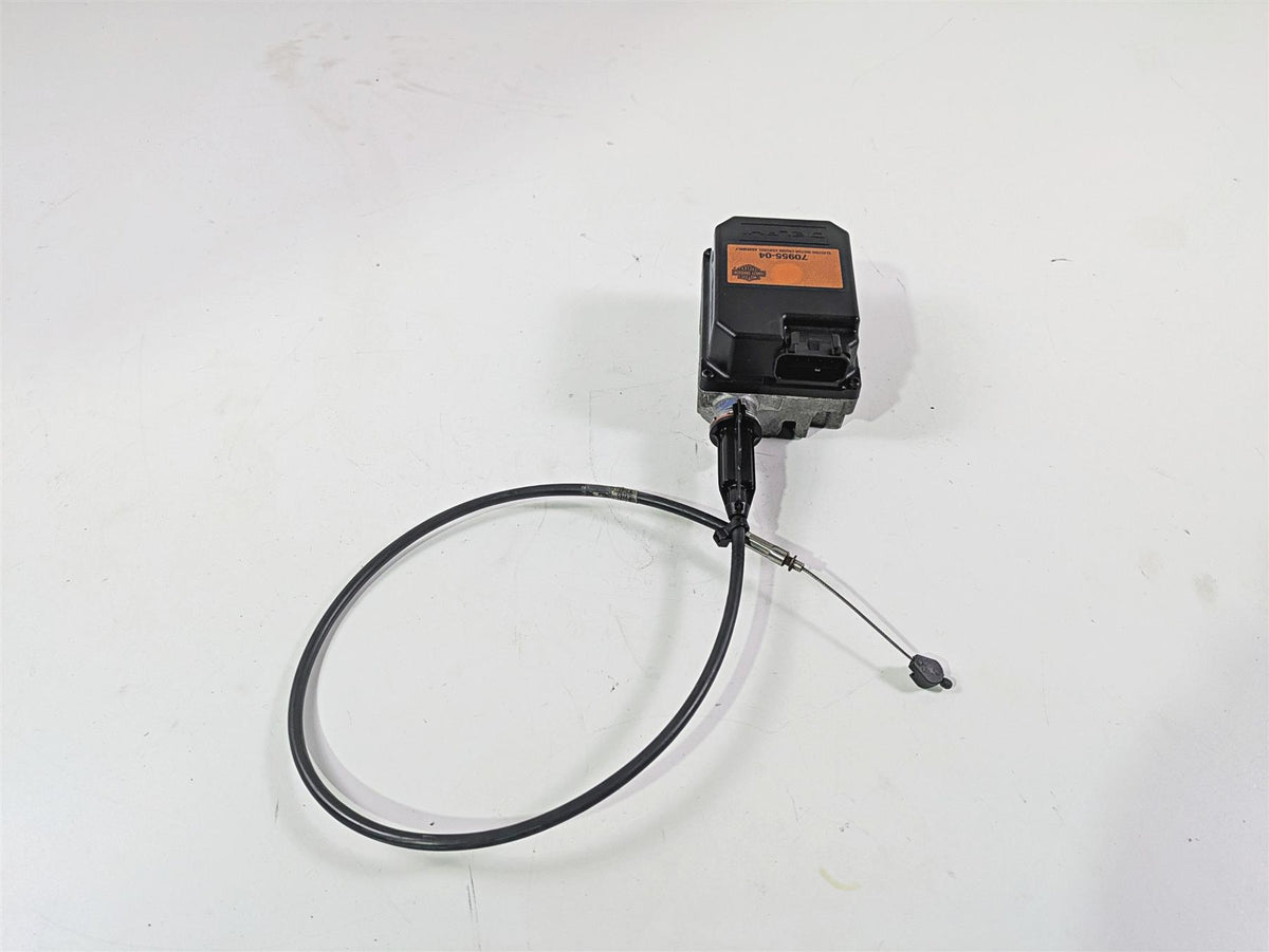 2007 Harley Touring FLHRSE CVO Road King Delphi Cruise Control Module 70955-04 {{ shop.shopifyCountryName }} - Mototech271