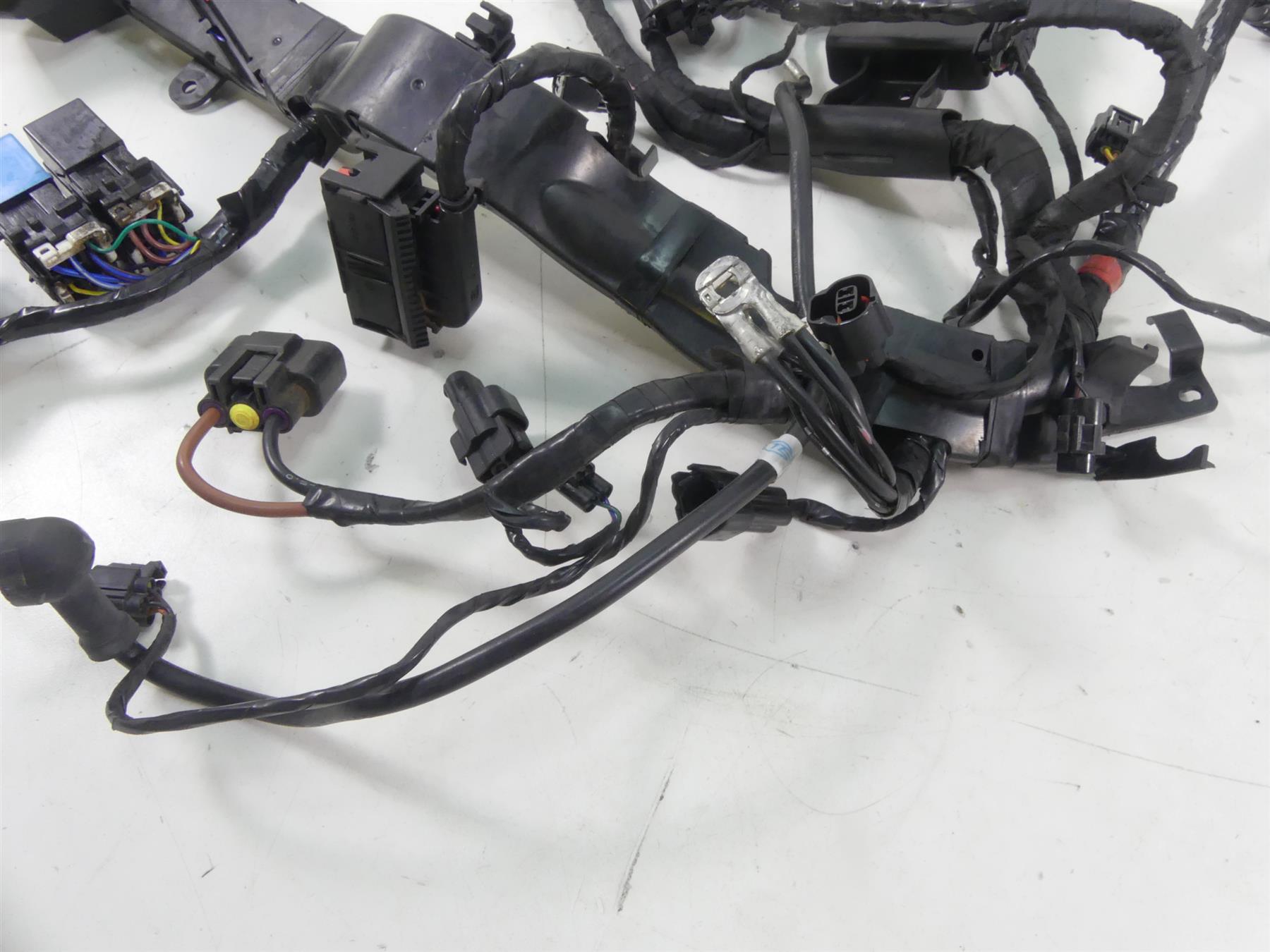 2019 Triumph Street Triple 765R Main Wiring Harness Loom -No Cuts T2507659 {{ shop.shopifyCountryName }} - Mototech271