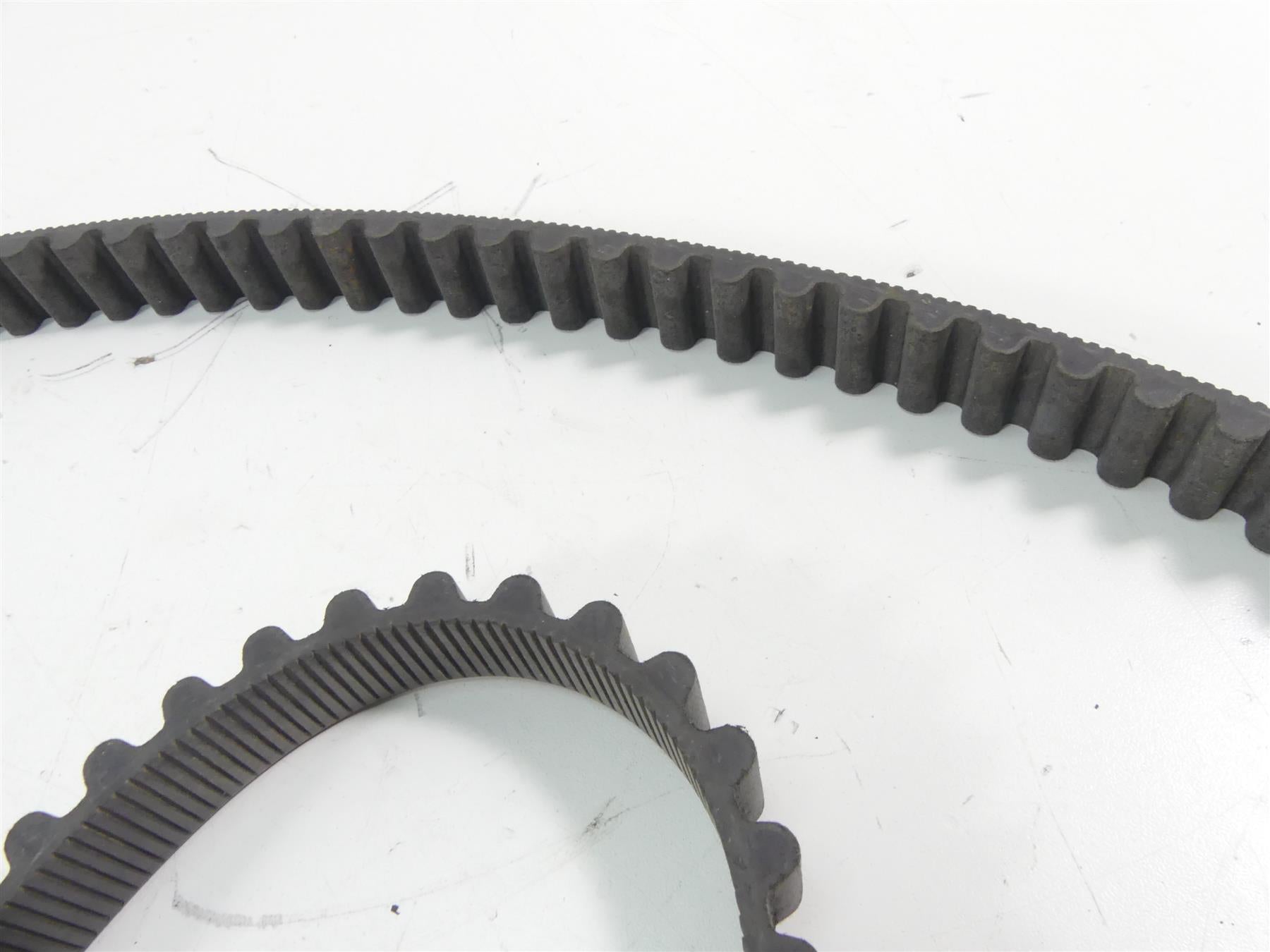 2014 Harley Sportster XL1200 C Rear Drive Belt 137T 1" 40591-07 {{ shop.shopifyCountryName }} - Mototech271