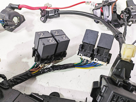 2023 Triumph Street Triple 765 RS Main Wiring Harness Loom - No Cuts T2507125 {{ shop.shopifyCountryName }} - Mototech271