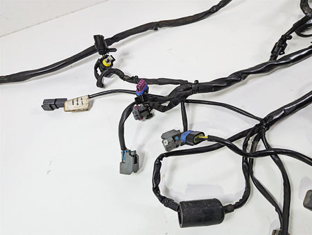 2006 Harley Davidson Dyna FXDBI Street Bob Wiring Harness Loom - Read 69602-06 {{ shop.shopifyCountryName }} - Mototech271