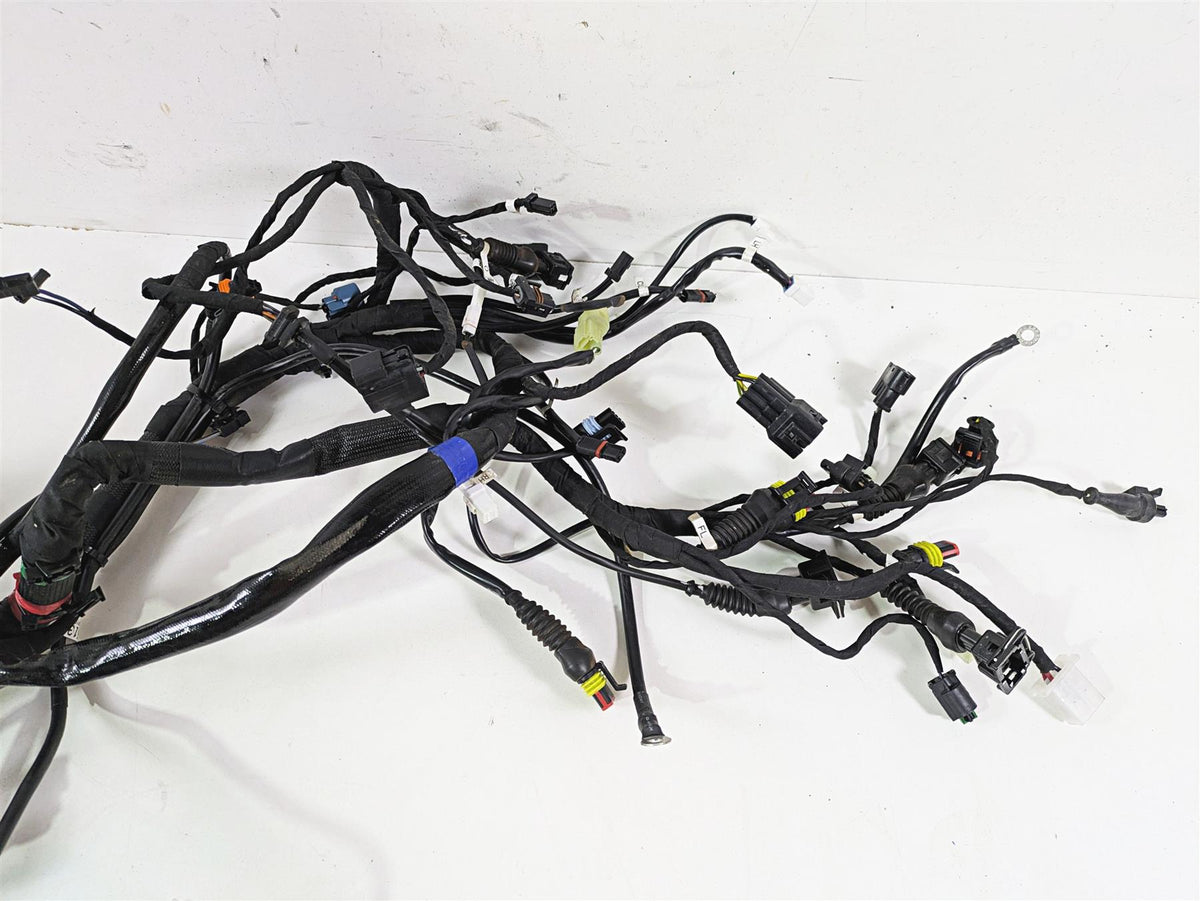 2022 Ducati Scrambler Desert Sled Main Wiring Harness Loom - Read 5101E241C {{ shop.shopifyCountryName }} - Mototech271