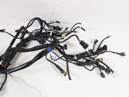 2022 Ducati Scrambler Desert Sled Main Wiring Harness Loom - Read 5101E241C {{ shop.shopifyCountryName }} - Mototech271