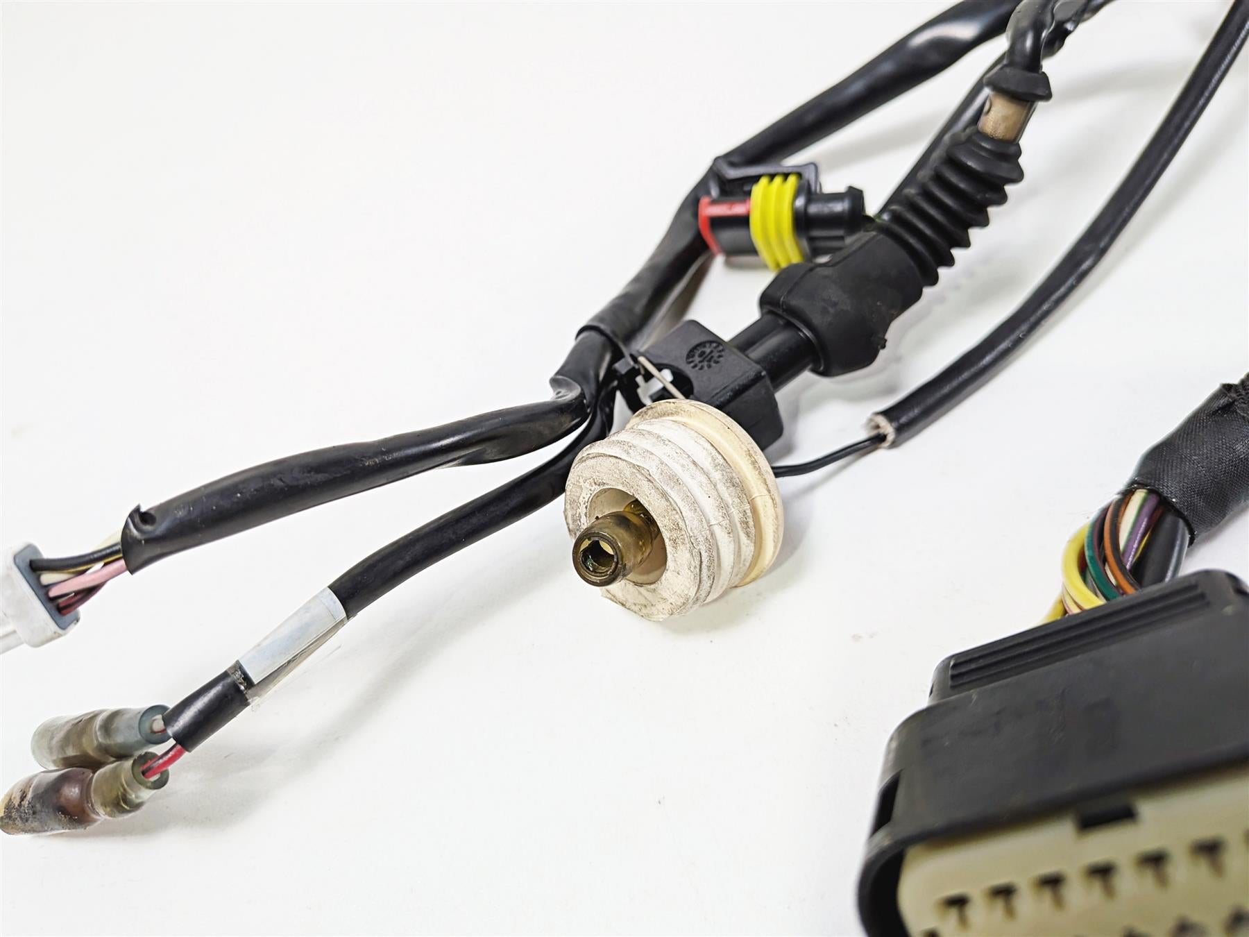 2011 Ducati Streetfighter 1098 S Main Wiring Harness Loom -Great Shape 51016621B {{ shop.shopifyCountryName }} - Mototech271