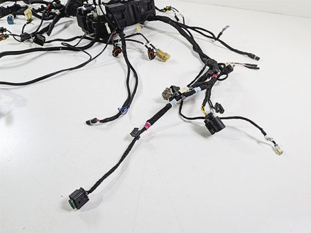 2022 Ducati Panigale V4 S V4S Main Wiring Harness Loom Set - For Parts 5101L281A-Mototech271