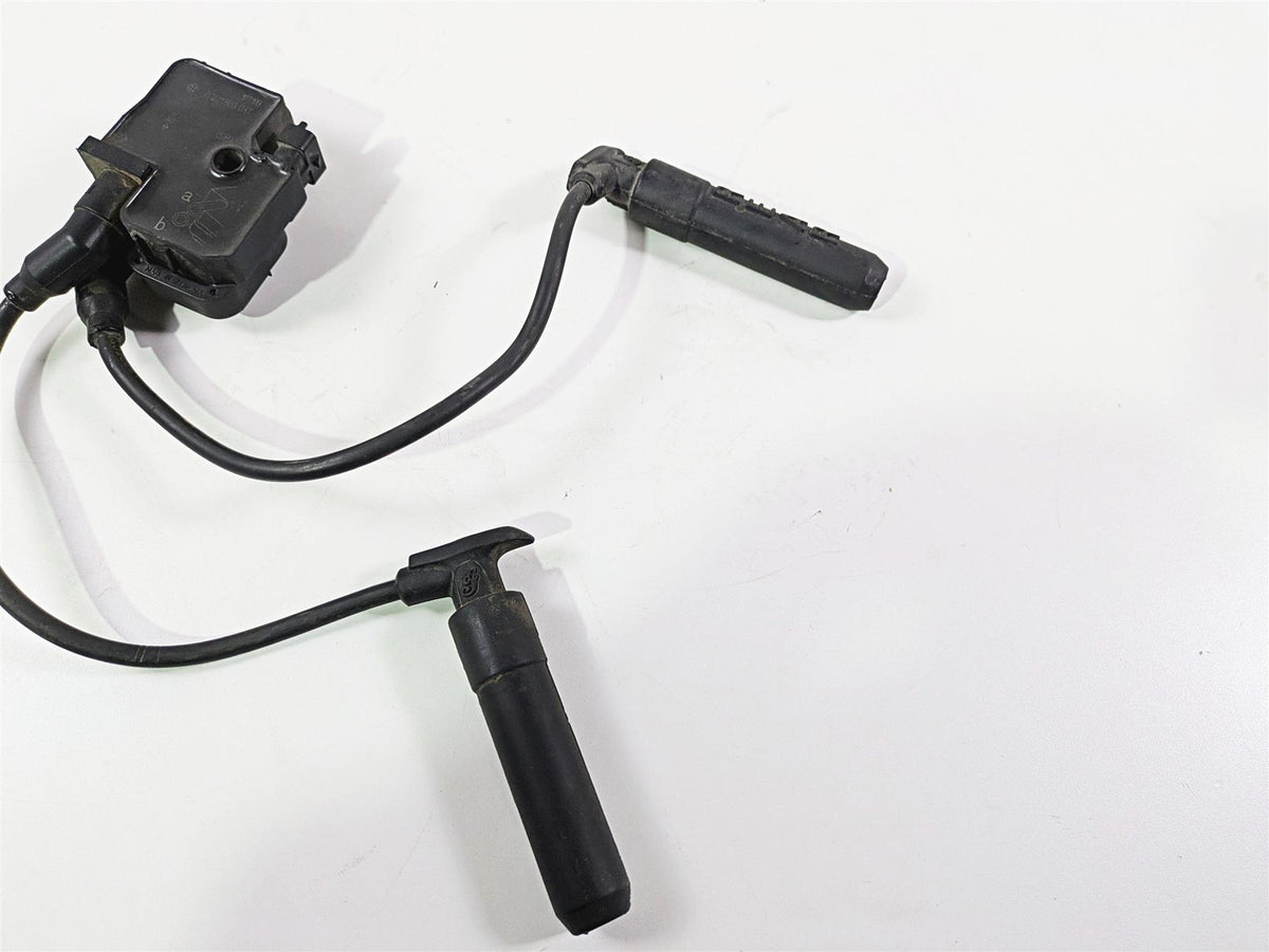 2018 Indian Springfield Dark Horse Ignition Coil Wires Plugs 4080060 2876049 {{ shop.shopifyCountryName }} - Mototech271