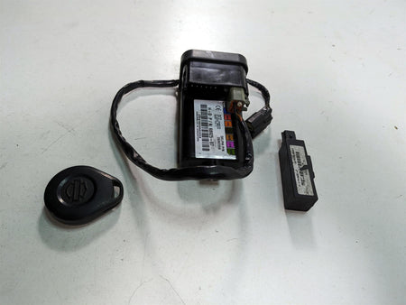 2011 Harley Touring FLTRU Road Glide Tssm Security Module Fob Set 68925-07 {{ shop.shopifyCountryName }} - Mototech271