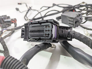 2018 BMW R nineT Urban GS K33 Main & Engine Wiring Harness - No Cuts 61118569727