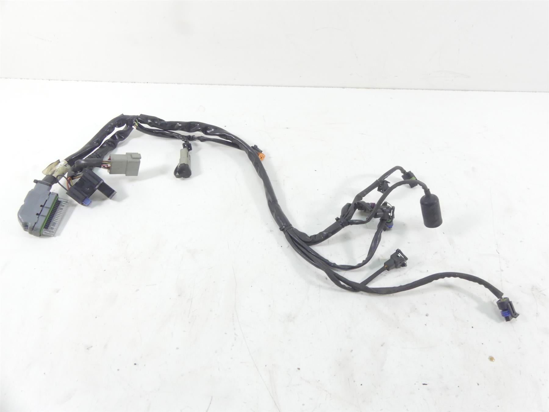 2005 Harley Touring CVO FLHTC SE Electra Glide  Efi Wiring Harness 70233-04